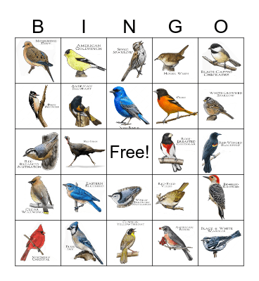OHIO BIRD Bingo Card