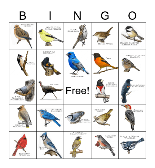 OHIO BIRD Bingo Card