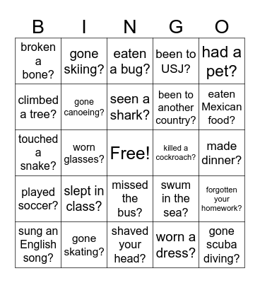 Have You Ever... Bingo Card