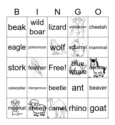 Animal bingo Card