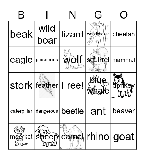 Animal bingo Card