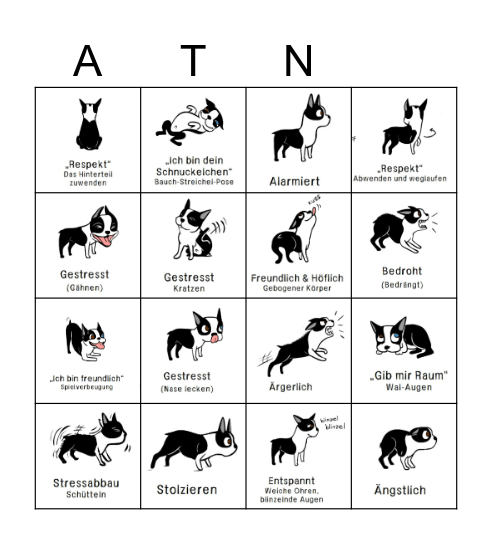 Ausdrucksverhalten Bingo Card