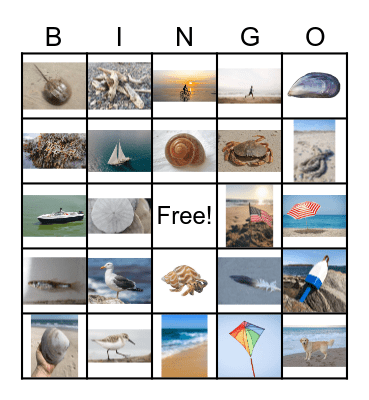 Beach Bingo! Bingo Card