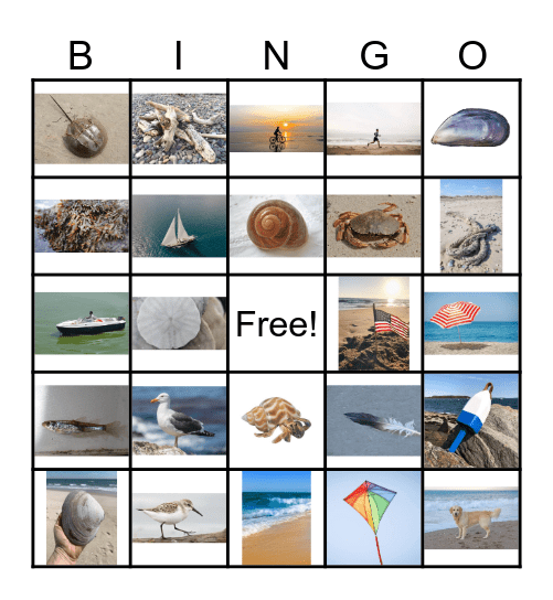 Beach Bingo! Bingo Card