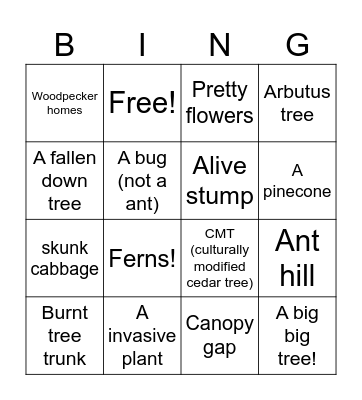 Wildwood Bingo Card