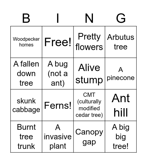 Wildwood Bingo Card