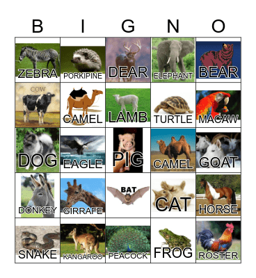 ANIMAL Bingo Card