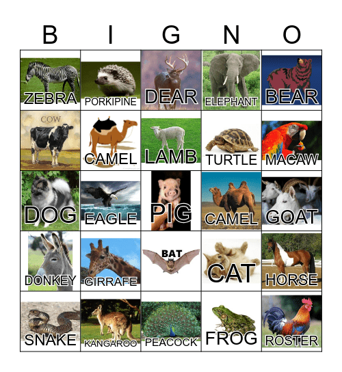 ANIMAL Bingo Card