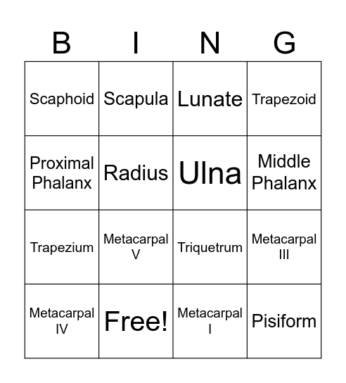 upper limb bones Bingo Card