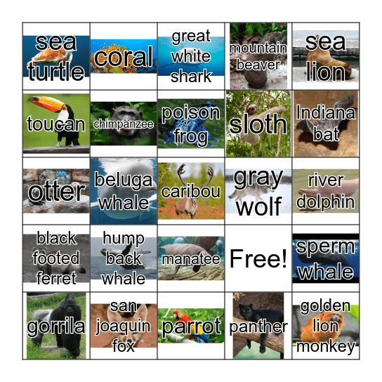 Endangered Animals Bingo Card