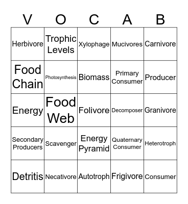 Food Web Bingo Card