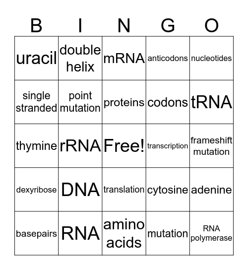 DNA & RNA  Bingo Card