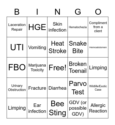 Weekend Fun Veterinary Bingo Card