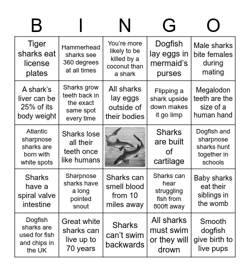 Two Truths & A Lie - SHARKS Bingo Card