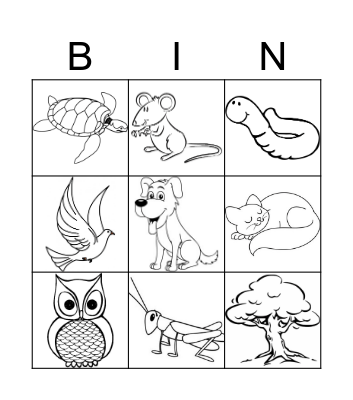 Nature Bingo Card