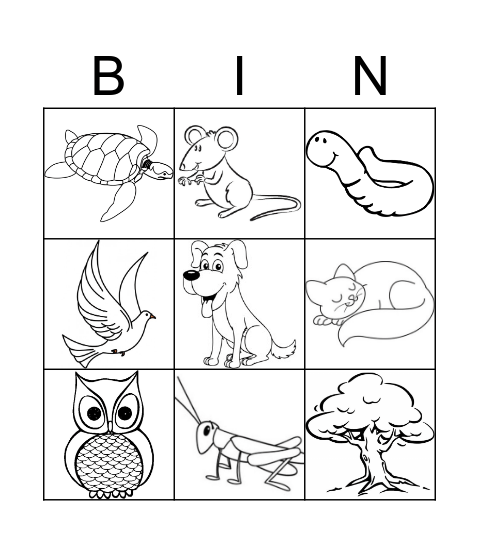 Nature Bingo Card