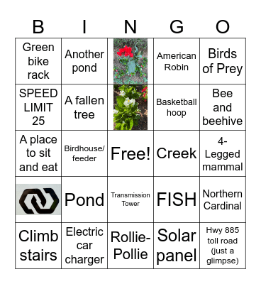 Nature Walk Bingo Card