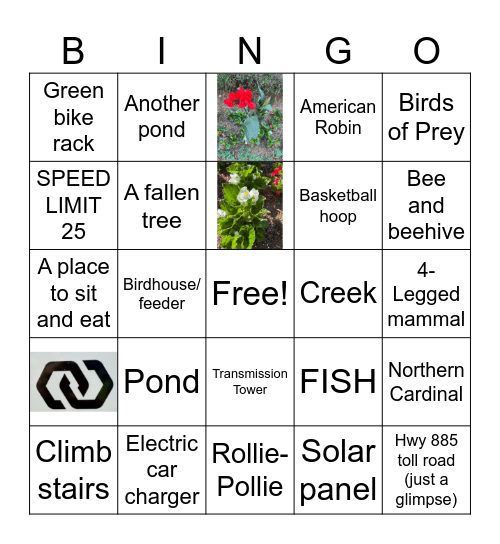Nature Walk Bingo Card