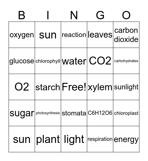 Photosynthesis  Bingo Card