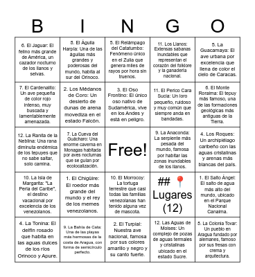 Bingo de Lugares y Animales de Venezuela Bingo Card
