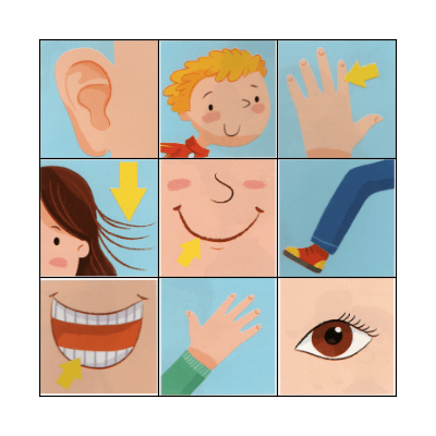 Body parts Bingo Card
