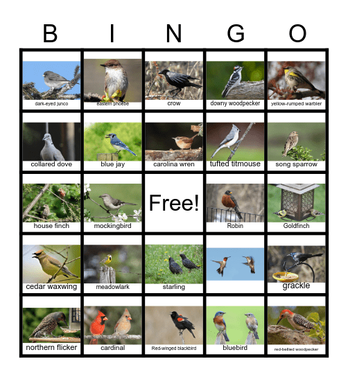 Oklahoma Birds Bingo Card