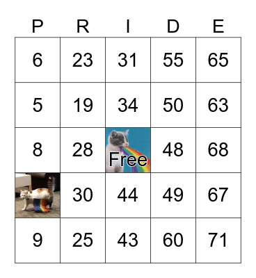 Pride July Summer Bingo Card