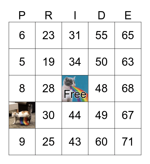 Pride July Summer Bingo Card
