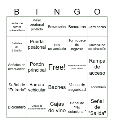 Zonas de acceso y transporte Bingo Card