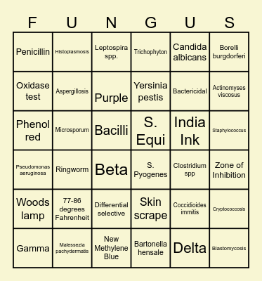 Bacteria & Yeast Bingo Card