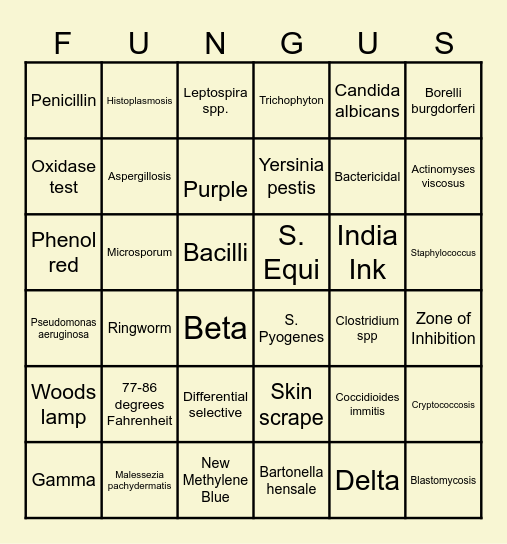 Bacteria & Yeast Bingo Card