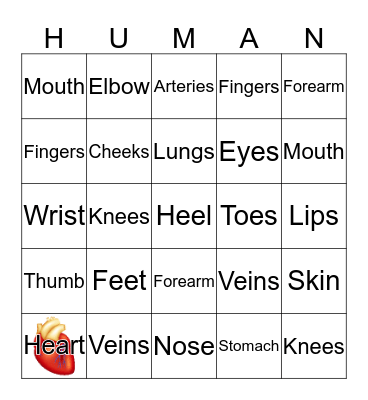Body Part Bingo! Bingo Card