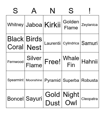 Sansevieria Bingo Card