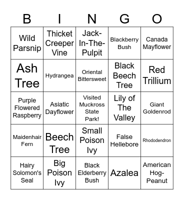 Muckross State ParkPlant ID Bingo Card