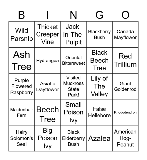 Muckross State ParkPlant ID Bingo Card