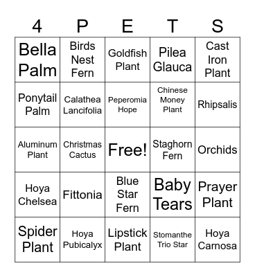 Pet Friendly Bingo Card