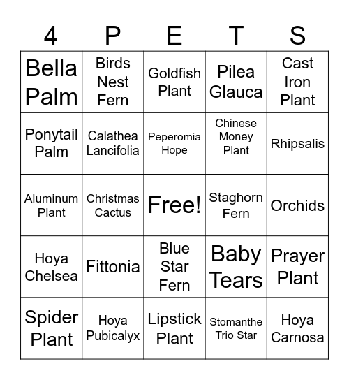 Pet Friendly Bingo Card