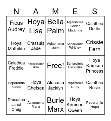 Plants with Peoples Names Bingo Card