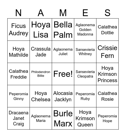 Plants with Peoples Names Bingo Card