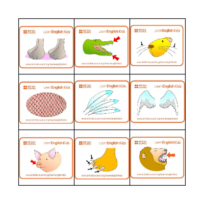 ANIMAL Bingo Card
