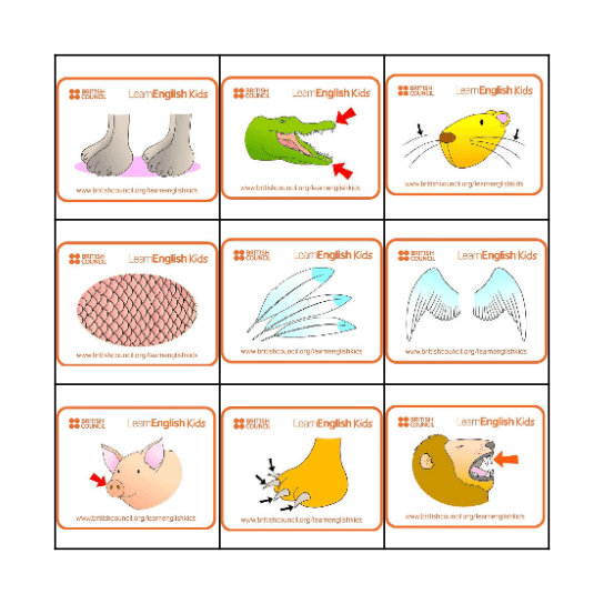 ANIMAL Bingo Card