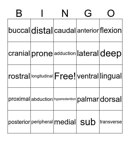 Directional Bingo Card