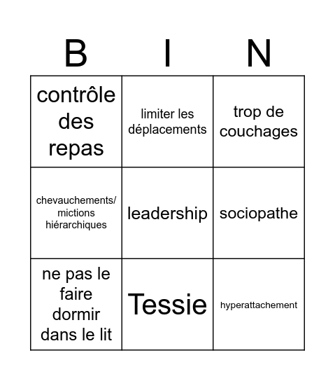 Bingo Véto Comp Bingo Card