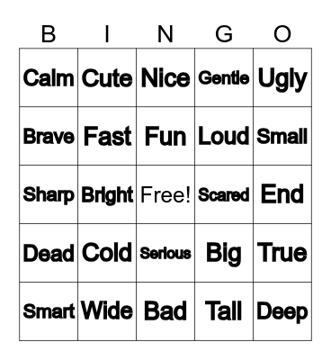 Synonym & Antonym BINGO Card