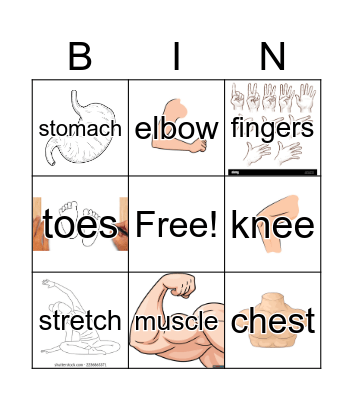 PARTS OF THE BODY Bingo Card