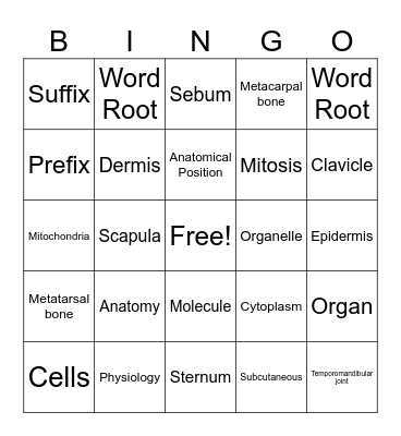A&P Bingo Card