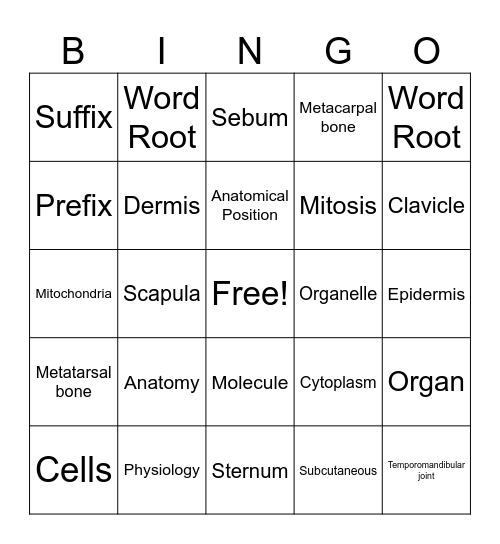 A&P Bingo Card
