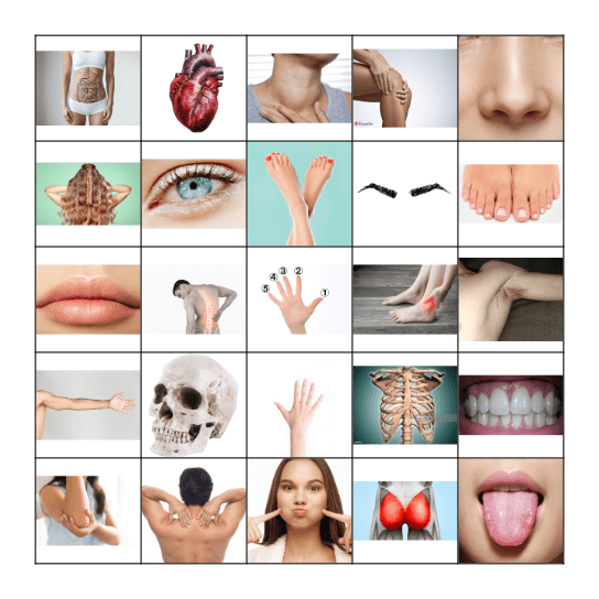 Partes del cuerpo Bingo Card
