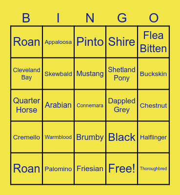 Equestrian Bingo Card