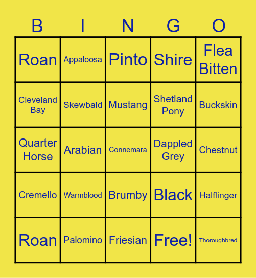 Equestrian Bingo Card